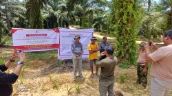 Hidup di Bawah Bayang-Bayang Sawit: Warga Korban Penyerobotan Lahan PT KAJ Terus Bertahan