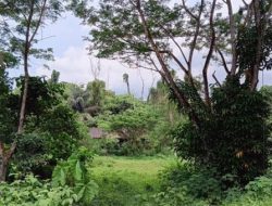 Dispora Kukar Akui Keterbatasan Anggaran Hambat Rehabilitasi Buper Panji Sukarame.