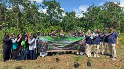 PT KKT Perkuat Ketahanan Pangan Warga Kariangau Lewat Program KRPL Cabe Ceria.