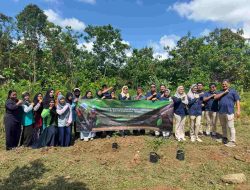 PT KKT Perkuat Ketahanan Pangan Warga Kariangau Lewat Program KRPL Cabe Ceria.